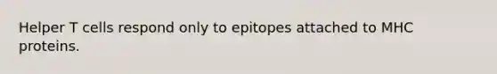 Helper T cells respond only to epitopes attached to MHC proteins.