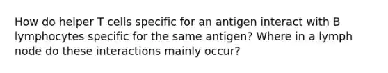 How do helper T cells specific for an antigen interact with B lymphocytes specific for the same antigen? Where in a lymph node do these interactions mainly occur?