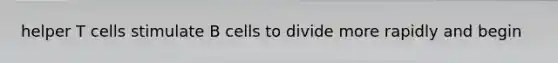 helper T cells stimulate B cells to divide more rapidly and begin