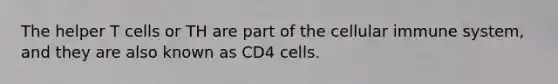 The helper T cells or TH are part of the cellular immune system, and they are also known as CD4 cells.