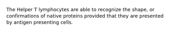 The Helper T lymphocytes are able to recognize the shape, or confirmations of native proteins provided that they are presented by antigen presenting cells.