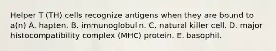 Helper T (TH) cells recognize antigens when they are bound to a(n) A. hapten. B. immunoglobulin. C. natural killer cell. D. <a href='https://www.questionai.com/knowledge/ku3e1cGn1J-major-histocompatibility-complex' class='anchor-knowledge'>major histocompatibility complex</a> (MHC) protein. E. basophil.