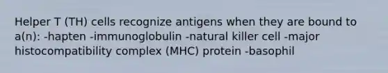 Helper T (TH) cells recognize antigens when they are bound to a(n): -hapten -immunoglobulin -natural killer cell -<a href='https://www.questionai.com/knowledge/ku3e1cGn1J-major-histocompatibility-complex' class='anchor-knowledge'>major histocompatibility complex</a> (MHC) protein -basophil