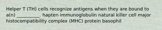 Helper T (TH) cells recognize antigens when they are bound to a(n) __________. hapten immunoglobulin natural killer cell major histocompatibility complex (MHC) protein basophil