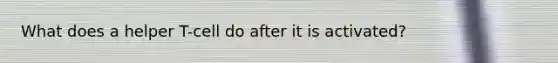 What does a helper T-cell do after it is activated?
