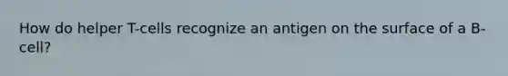 How do helper T-cells recognize an antigen on the surface of a B-cell?