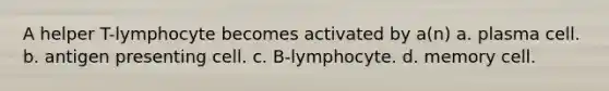 A helper T-lymphocyte becomes activated by a(n) a. plasma cell. b. antigen presenting cell. c. B-lymphocyte. d. memory cell.