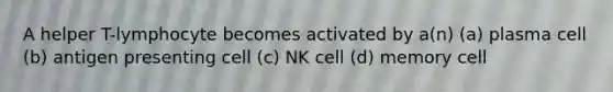 A helper T-lymphocyte becomes activated by a(n) (a) plasma cell (b) antigen presenting cell (c) NK cell (d) memory cell