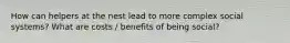 How can helpers at the nest lead to more complex social systems? What are costs / benefits of being social?