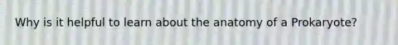 Why is it helpful to learn about the anatomy of a Prokaryote?