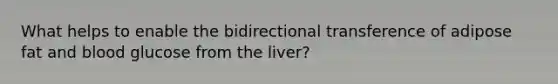 What helps to enable the bidirectional transference of adipose fat and blood glucose from the liver?