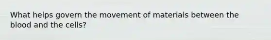 What helps govern the movement of materials between the blood and the cells?