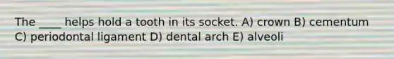 The ____ helps hold a tooth in its socket. A) crown B) cementum C) periodontal ligament D) dental arch E) alveoli