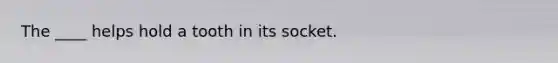 The ____ helps hold a tooth in its socket.