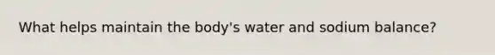 What helps maintain the body's water and sodium balance?