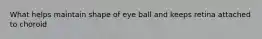 What helps maintain shape of eye ball and keeps retina attached to choroid