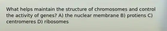 What helps maintain the structure of chromosomes and control the activity of genes? A) the nuclear membrane B) protiens C) centromeres D) ribosomes