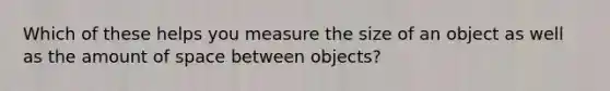 Which of these helps you measure the size of an object as well as the amount of space between objects?