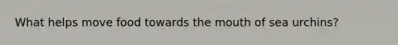 What helps move food towards <a href='https://www.questionai.com/knowledge/krBoWYDU6j-the-mouth' class='anchor-knowledge'>the mouth</a> of sea urchins?
