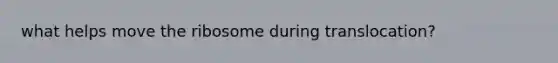 what helps move the ribosome during translocation?