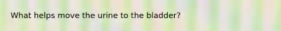 What helps move the urine to the bladder?