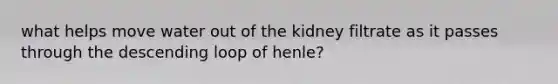 what helps move water out of the kidney filtrate as it passes through the descending loop of henle?