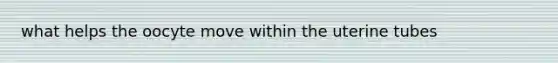 what helps the oocyte move within the uterine tubes