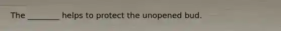 The ________ helps to protect the unopened bud.