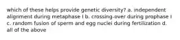 which of these helps provide genetic diversity? a. independent alignment during metaphase I b. crossing-over during prophase I c. random fusion of sperm and egg nuclei during fertilization d. all of the above