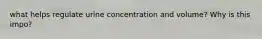 what helps regulate urine concentration and volume? Why is this impo?