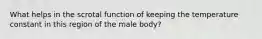 What helps in the scrotal function of keeping the temperature constant in this region of the male body?