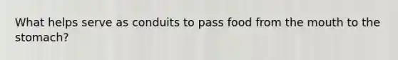 What helps serve as conduits to pass food from <a href='https://www.questionai.com/knowledge/krBoWYDU6j-the-mouth' class='anchor-knowledge'>the mouth</a> to the stomach?