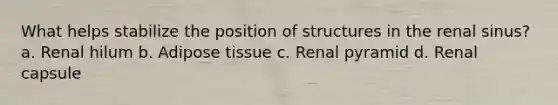 What helps stabilize the position of structures in the renal sinus? a. Renal hilum b. Adipose tissue c. Renal pyramid d. Renal capsule