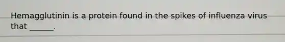Hemagglutinin is a protein found in the spikes of influenza virus that ______.