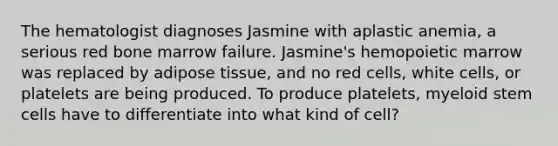 The hematologist diagnoses Jasmine with aplastic anemia, a serious red bone marrow failure. Jasmine's hemopoietic marrow was replaced by adipose tissue, and no red cells, white cells, or platelets are being produced. To produce platelets, myeloid stem cells have to differentiate into what kind of cell?