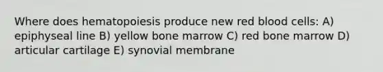 Where does hematopoiesis produce new red blood cells: A) epiphyseal line B) yellow bone marrow C) red bone marrow D) articular cartilage E) synovial membrane