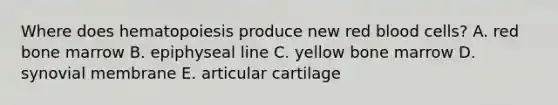 Where does hematopoiesis produce new red blood cells? A. red bone marrow B. epiphyseal line C. yellow bone marrow D. synovial membrane E. articular cartilage