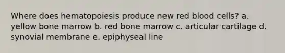 Where does hematopoiesis produce new red blood cells? a. yellow bone marrow b. red bone marrow c. articular cartilage d. synovial membrane e. epiphyseal line