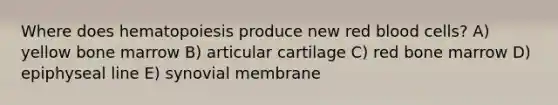 Where does hematopoiesis produce new red blood cells? A) yellow bone marrow B) articular cartilage C) red bone marrow D) epiphyseal line E) synovial membrane