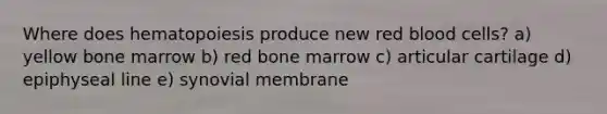 Where does hematopoiesis produce new red blood cells? a) yellow bone marrow b) red bone marrow c) articular cartilage d) epiphyseal line e) synovial membrane