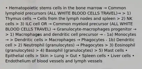 • Hematopoietic stems cells in the bone marrow → Common lymphoid precursors (ALL WHITE BLOOD CELLS TRAVEL)→ > 1) Thymus cells → Cells from the lymph nodes and spleen > 2) NK cells > 3) ILC cell OR → Common myeloid precursor (ALL WHITE BLOOD CELLS TRAVEL) → Granulocyte-macrophages progenitor → > 1) Macrophages and dendritic cell precursor → - 1a) Monocytes → > Dendritic cells > Macrophages → Phagocytes - 1b) Dendritic cell > 2) Neutrophil (granulocytes) → Phagocytes > 3) Eosinophil (granulocytes) > 4) Basophil (granulocytes) > 5) Mast cells • Epithelial cells > Skin > Lung > Gut • Spleen cells • Liver cells • Endothelium of blood vessels and lymph vessels