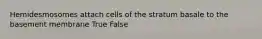 Hemidesmosomes attach cells of the stratum basale to the basement membrane True False