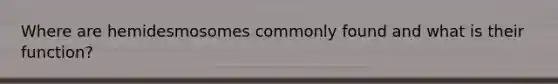 Where are hemidesmosomes commonly found and what is their function?