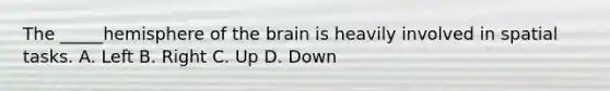 The _____hemisphere of <a href='https://www.questionai.com/knowledge/kLMtJeqKp6-the-brain' class='anchor-knowledge'>the brain</a> is heavily involved in spatial tasks. A. Left B. Right C. Up D. Down