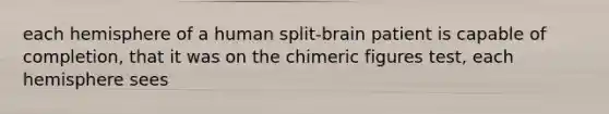 each hemisphere of a human split-brain patient is capable of completion, that it was on the chimeric figures test, each hemisphere sees