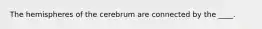 The hemispheres of the cerebrum are connected by the ____.