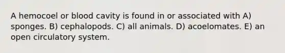 A hemocoel or blood cavity is found in or associated with A) sponges. B) cephalopods. C) all animals. D) acoelomates. E) an open circulatory system.