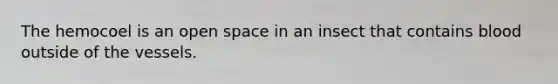 The hemocoel is an open space in an insect that contains blood outside of the vessels.