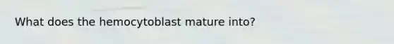 What does the hemocytoblast mature into?