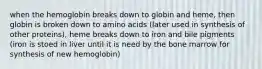 when the hemoglobin breaks down to globin and heme, then globin is broken down to amino acids (later used in synthesis of other proteins), heme breaks down to iron and bile pigments (iron is stoed in liver until it is need by the bone marrow for synthesis of new hemoglobin)